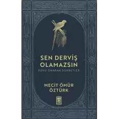 Sen Derviş Olamazsın