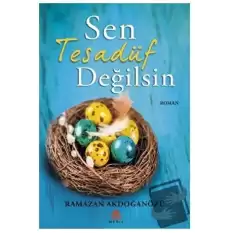 Sen Tesadüf Değilsin