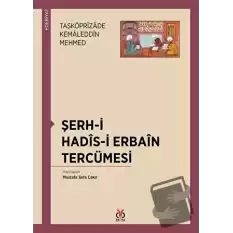 Şerh-i Hadis-i Erbain Tercümesi