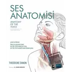 Ses Anatomisi