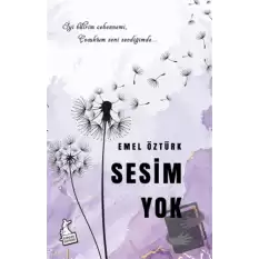 Sesim Yok