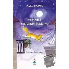 Sevgili Serseri Kedim