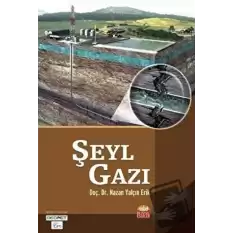 Şeyl Gazı