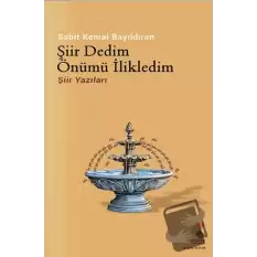 Şiir Dedim Önümü İlikledim