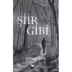 Şiir Gibi