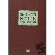 Şiir İçin Notlar