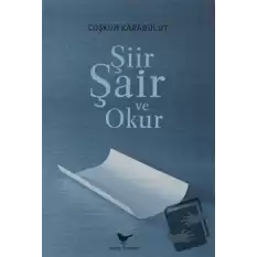 Şiir, Şair ve Okur