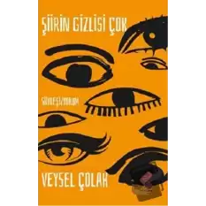 Şiirin Gizlisi Çok