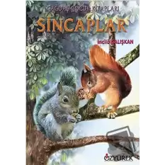 Sincaplar