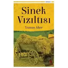 Sinek Vızıltısı