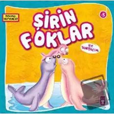 Şirin Foklar ile Tanışalım