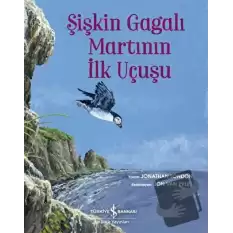 Şişkin Gagalı Martının İlk Uçuşu