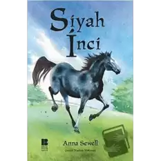 Siyah İnci