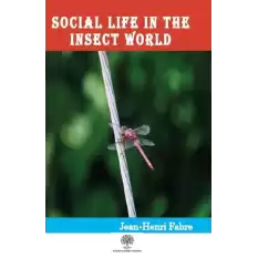 Social Life in the Insect World