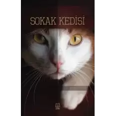 Sokak Kedisi