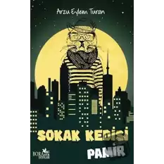 Sokak Kedisi Pamir