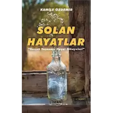 Solan Hayatlar