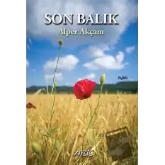 Son Balık