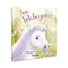 Son Unicorn Tekboynuz