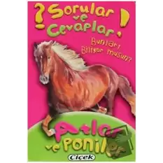 Sorular ve Cevaplar - Atlar ve Poniler