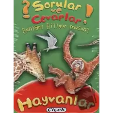 Sorular ve Cevaplar - Hayvanlar