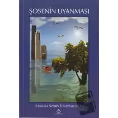 Şosenin Uyanması