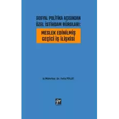 Sosyal Politika Açısından Özel İstihdam Büroları - Meslek Edinilmiş Geçici İş İlişkisi