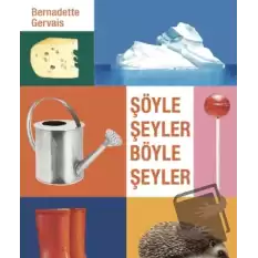 Şöyle Şeyler Böyle Şeyler