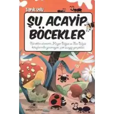 Şu Acayip Böcekler