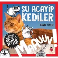 Şu Acayip Kediler - Maauuv!