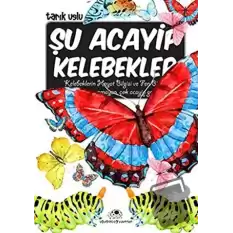 Şu Acayip Kelebekler