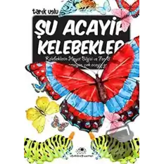 Şu Acayip Kelebekler