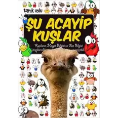 Şu Acayip Kuşlar