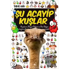 Şu Acayip Kuşlar