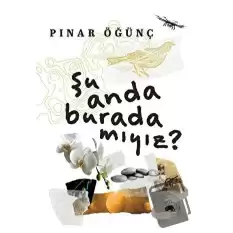 Şu Anda Burada Mıyız?