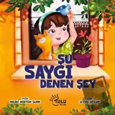 Şu Saygı Dene Şey