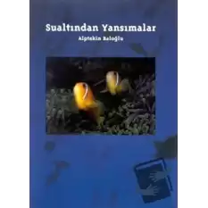 Sualtından Yansımalar