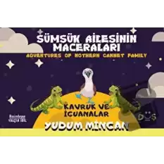 Sümsük Ailesinin Maceraları