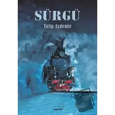 Sürgü