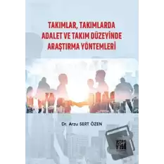 Takımlar, Takımlarda Adalet ve Takım Düzeyinde Araştırma Yöntemleri