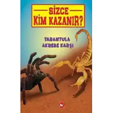 Tarantula Akrebe Karşı - Sizce Kim Kazanır?