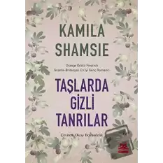 Taşlarda Gizli Tanrılar