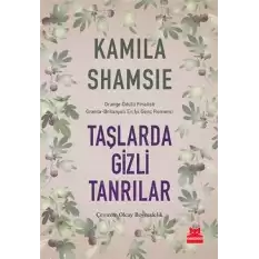 Taşlarda Gizli Tanrılar