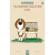 Tavşanını Özleyen Köpek