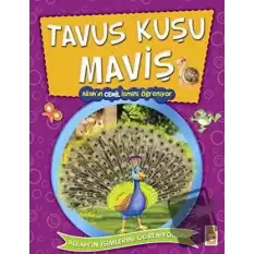Tavus Kuşu Maviş -Allahın Cemil İsmini Öğreniyor