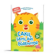 Çakıl Sayıları Öğreniyor