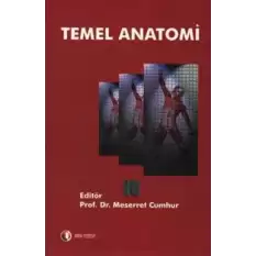 Temel Anatomi