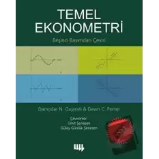 Temel Ekonometri (Ekonomik Baskı)