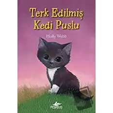 Terk Edilmiş Kedi Puslu