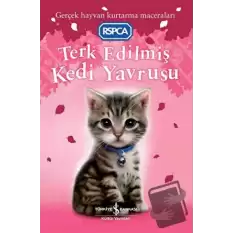 Terk Edilmiş Kedi Yavrusu